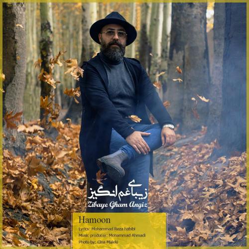 دانلود آهنگ زیبای غم انگیز هامون